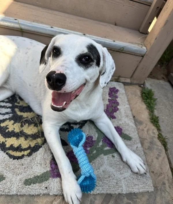 Sunshine thumbnail 5