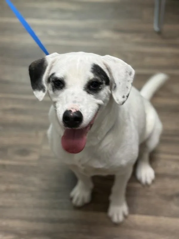 Sunshine thumbnail 6