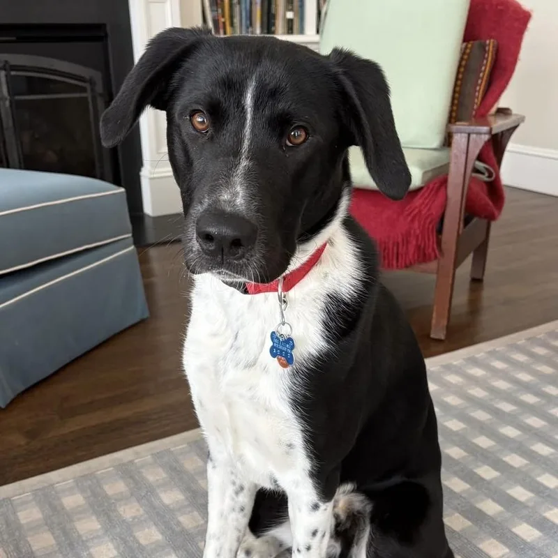 Walter Fka Mikey thumbnail 2