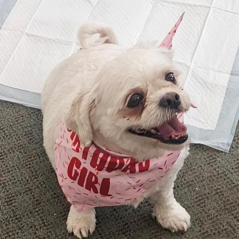 Princess thumbnail 2