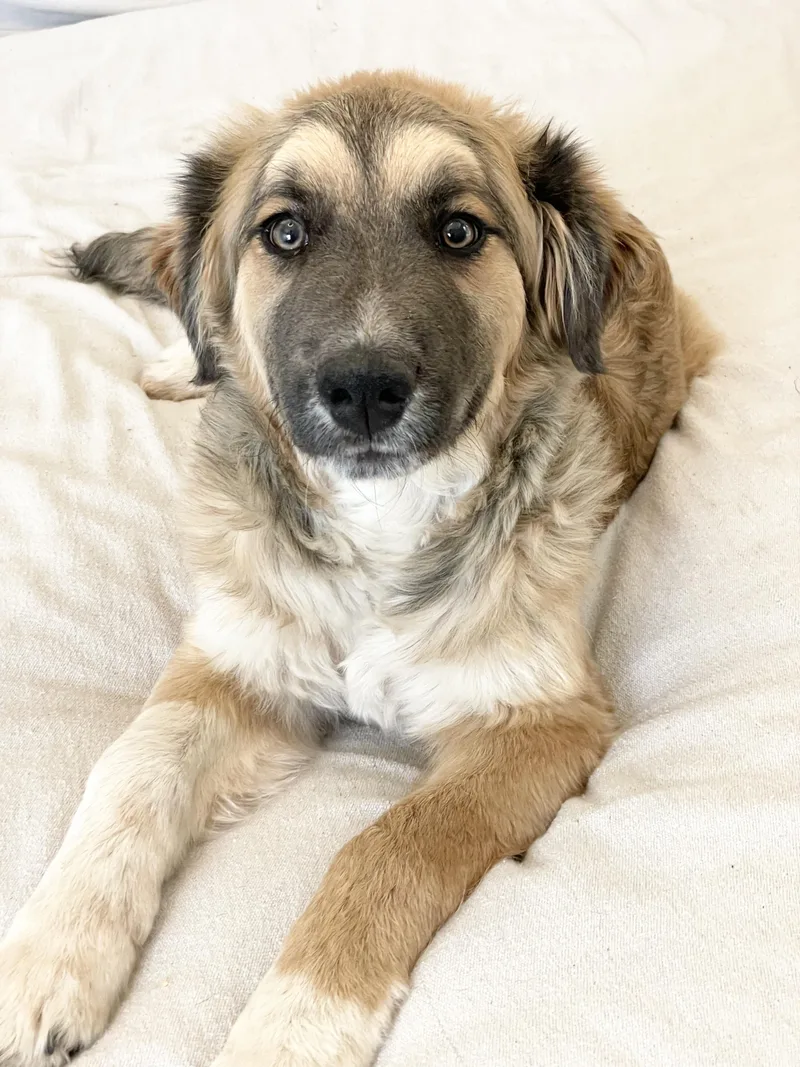 Snuggly Snead thumbnail 2