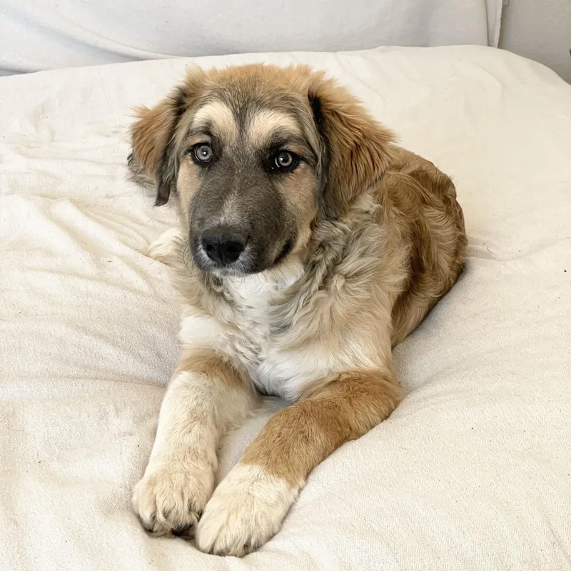 Snuggly Snead thumbnail 3