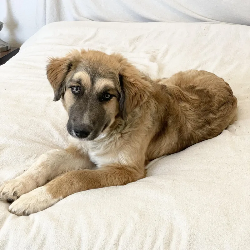 Snuggly Snead thumbnail 4