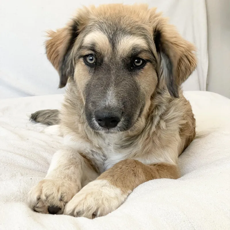 Snuggly Snead thumbnail 5