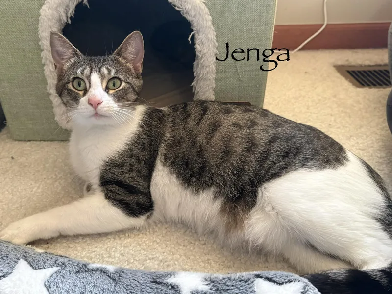 Jenga thumbnail 3