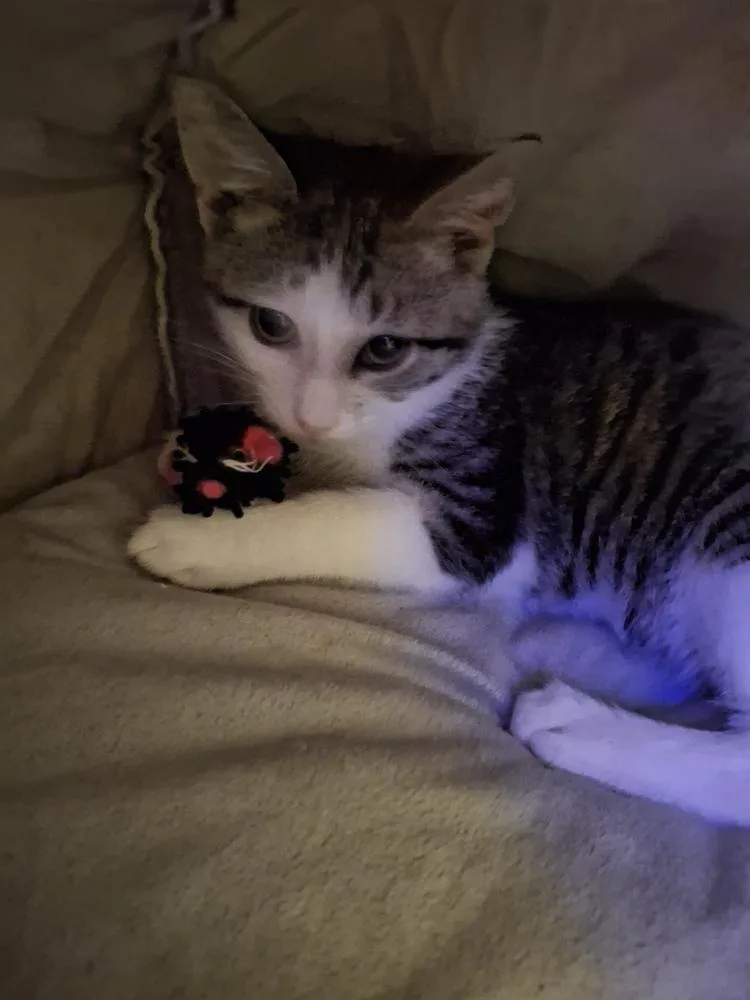 Colby thumbnail 2