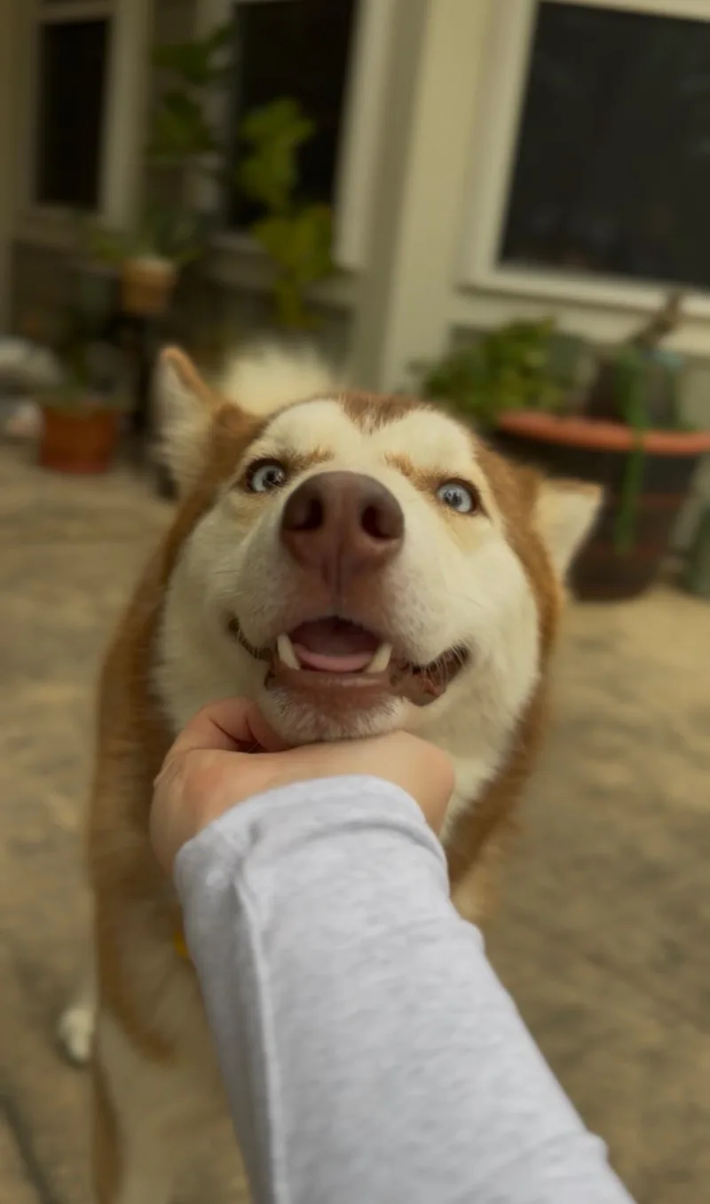 Coby