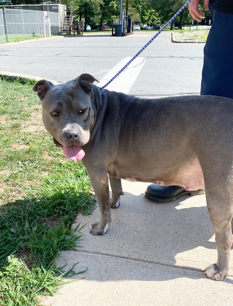 Princess thumbnail 6