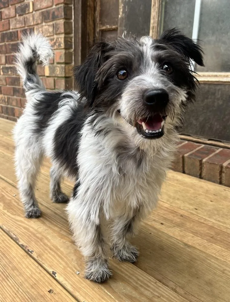 Sam