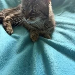 Missy thumbnail 3