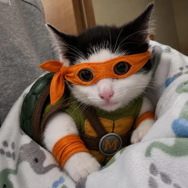 Michelangelo thumbnail 2