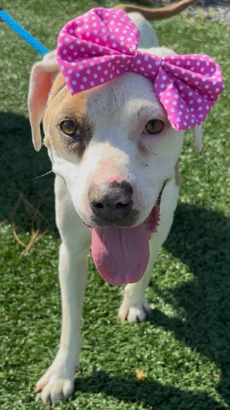 Lilly Aka Mama Queen thumbnail 3