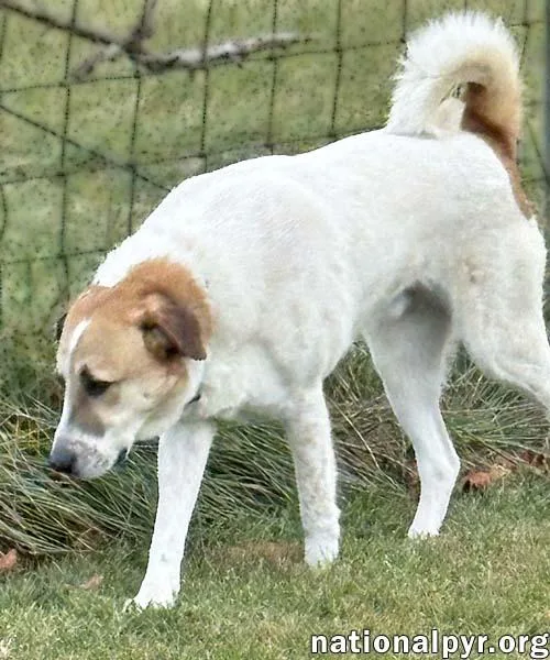 Buster In Va  thumbnail 2