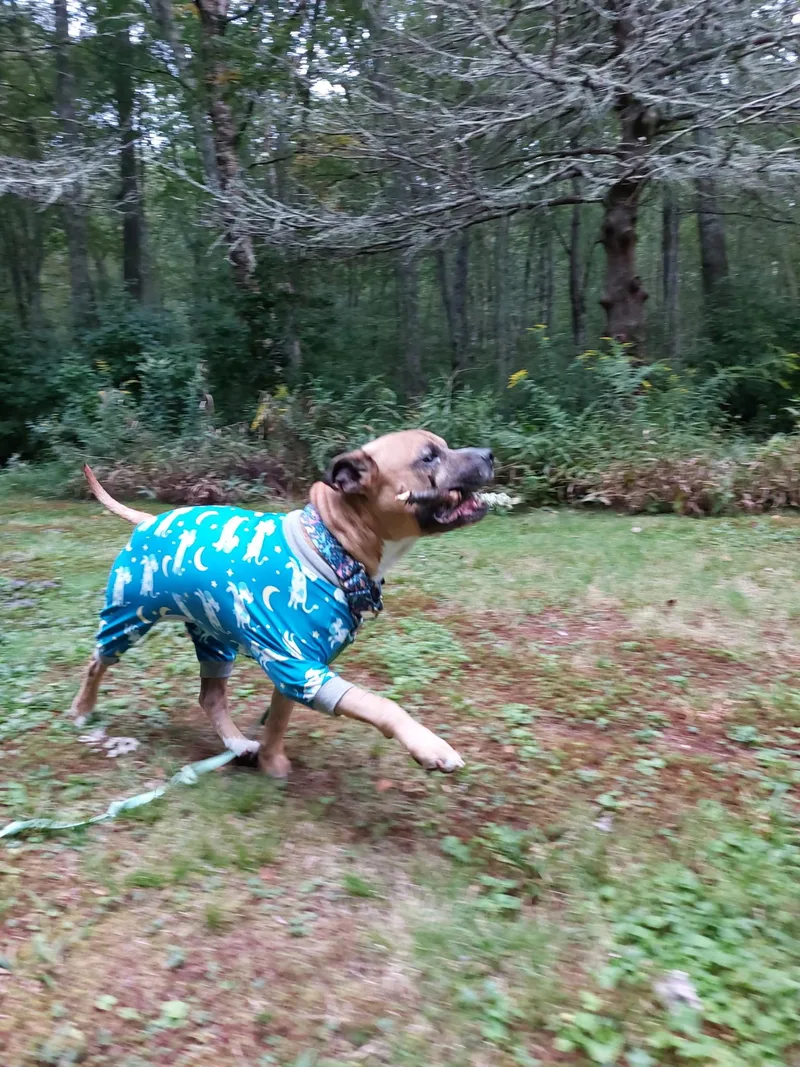Tobey thumbnail 2
