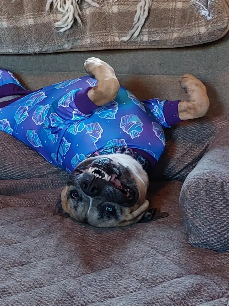 Tobey thumbnail 3
