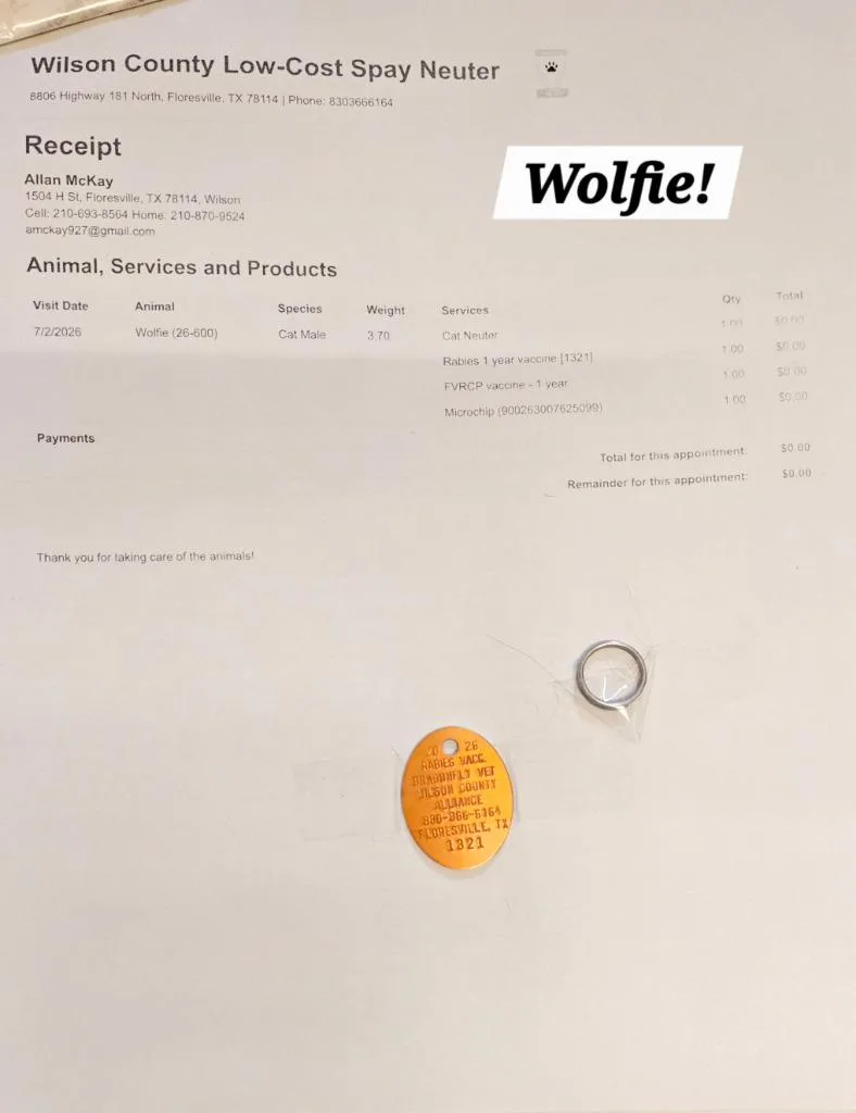 Wolfie thumbnail 3