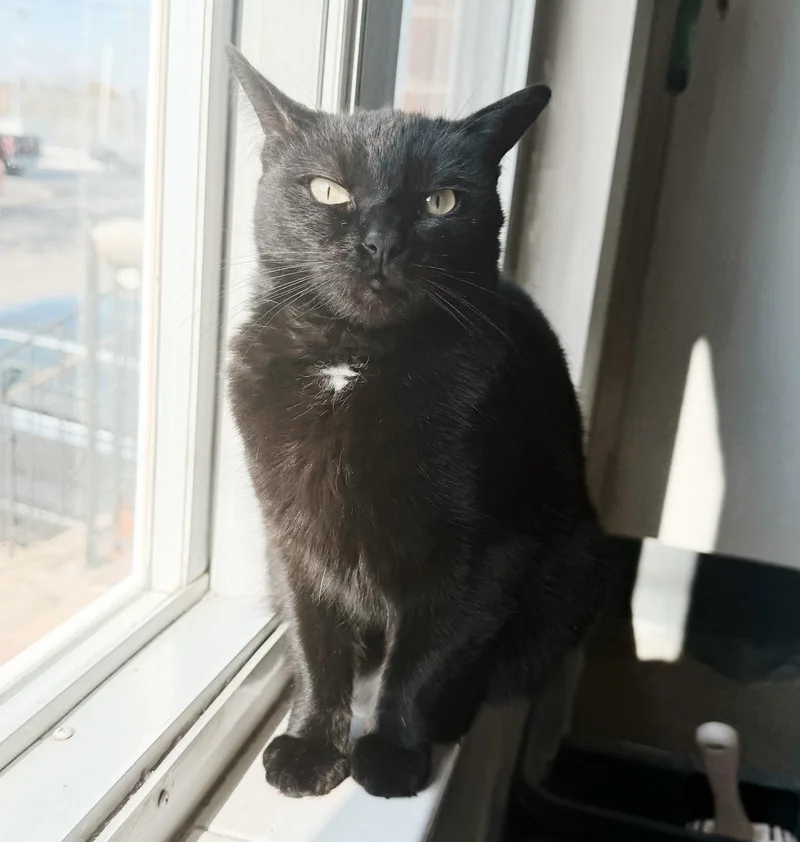 Wednesday thumbnail 3