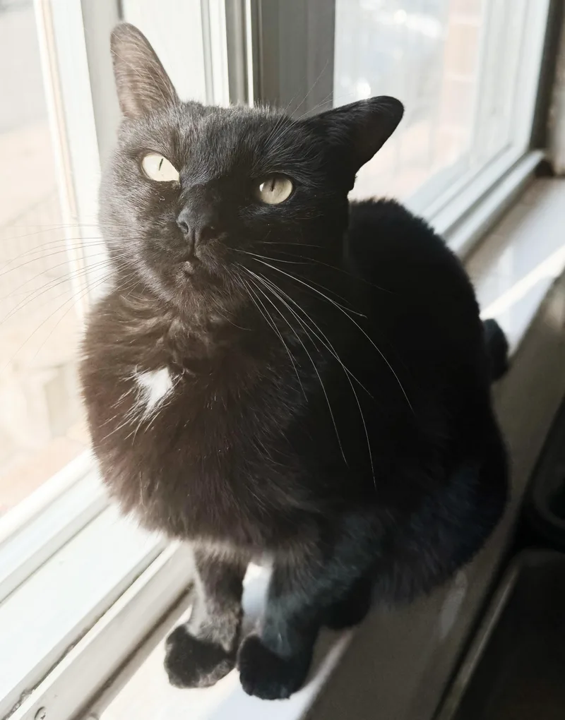 Wednesday thumbnail 5