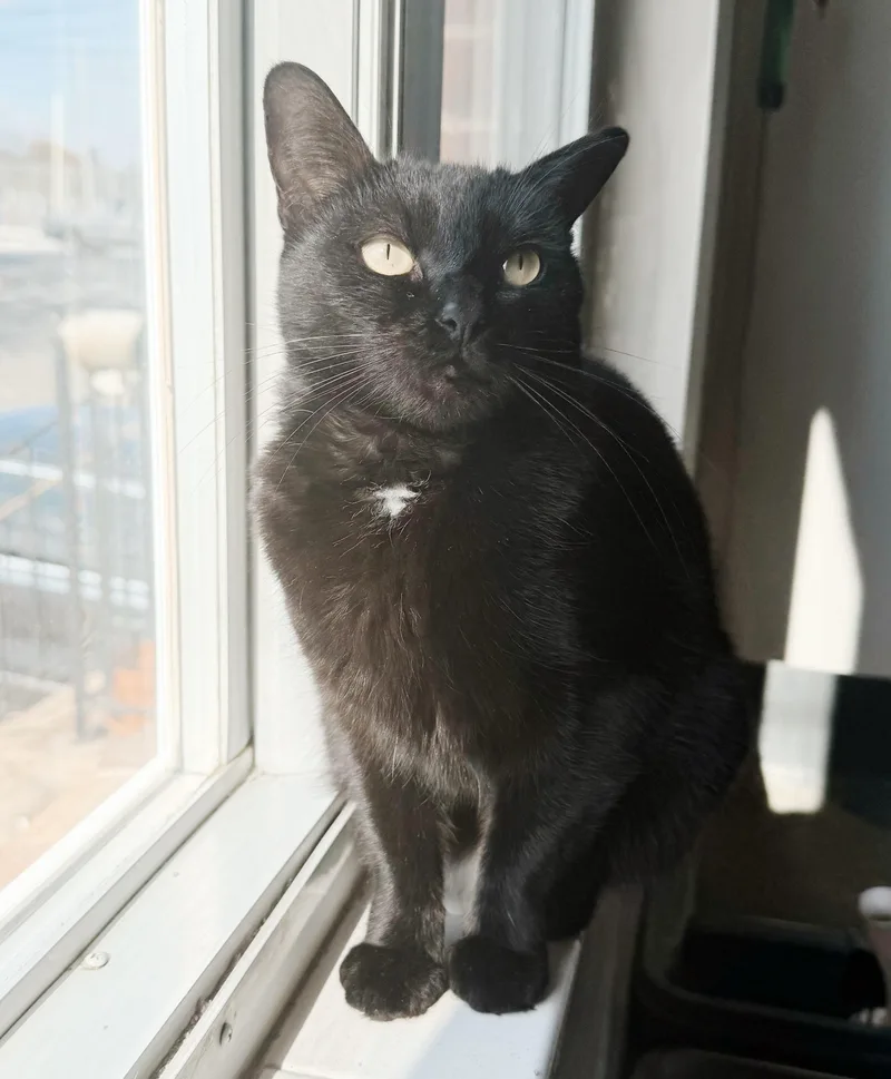 Wednesday thumbnail 6