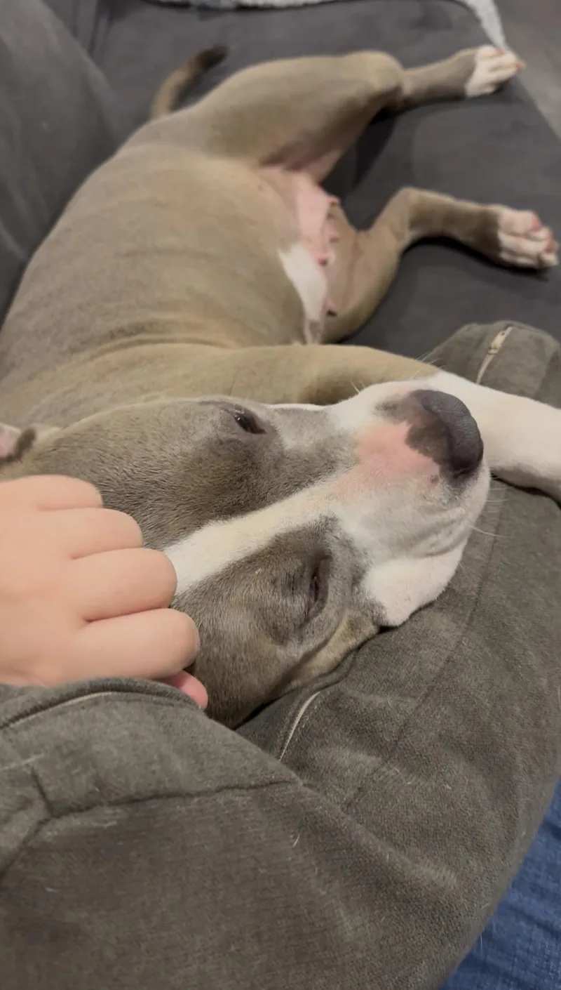 Lovey thumbnail 4