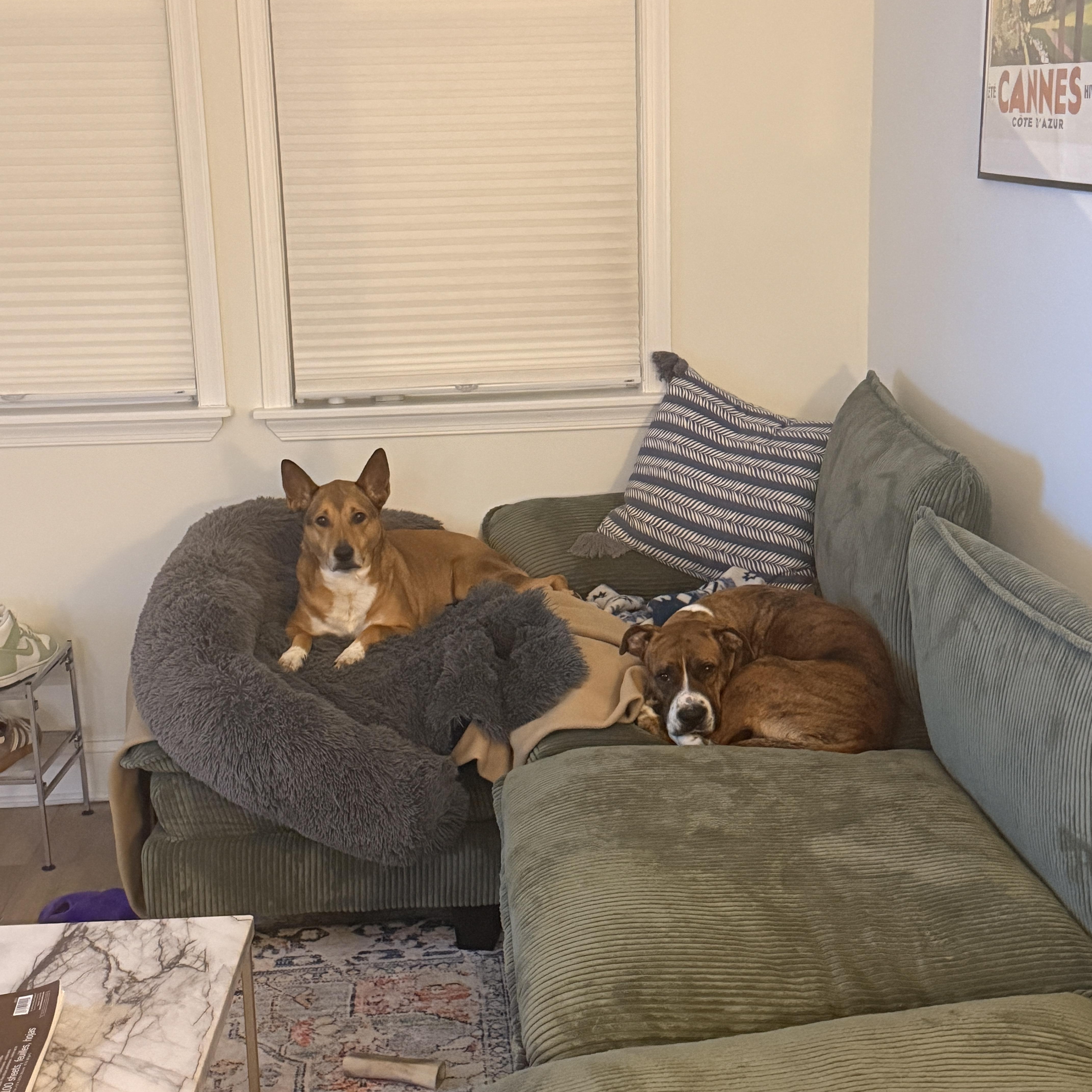 Mama Dukes thumbnail 3