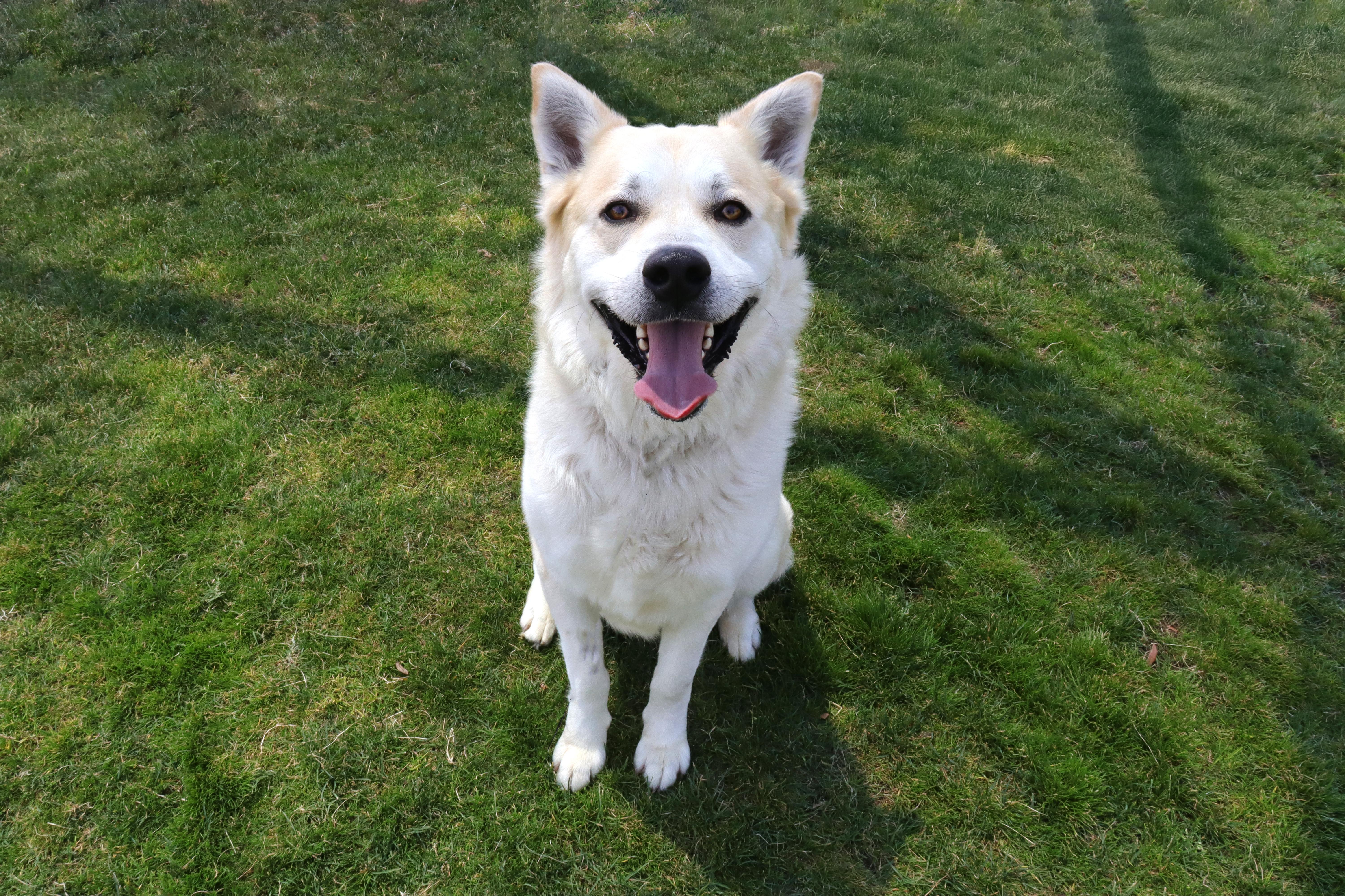 Lemonade thumbnail 3