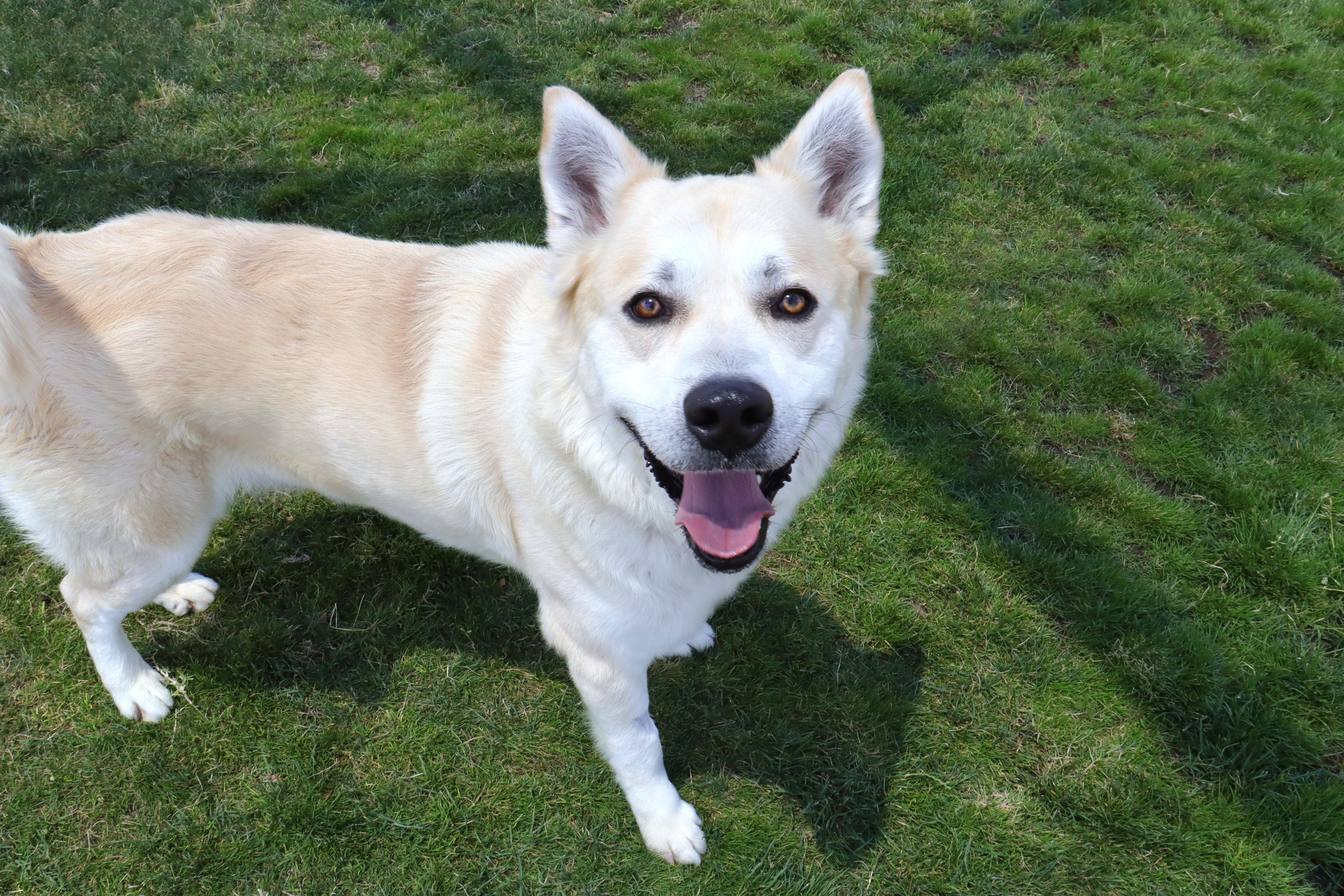 Lemonade thumbnail 4