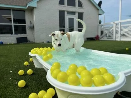 Francine thumbnail 2