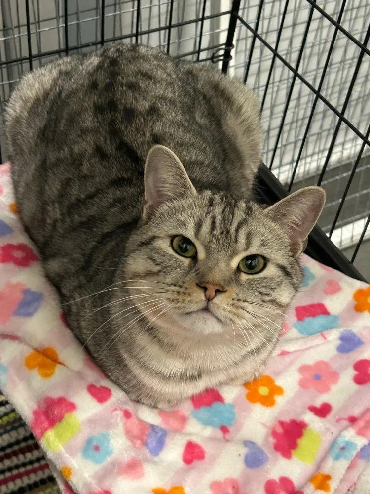 Sebastian thumbnail 2