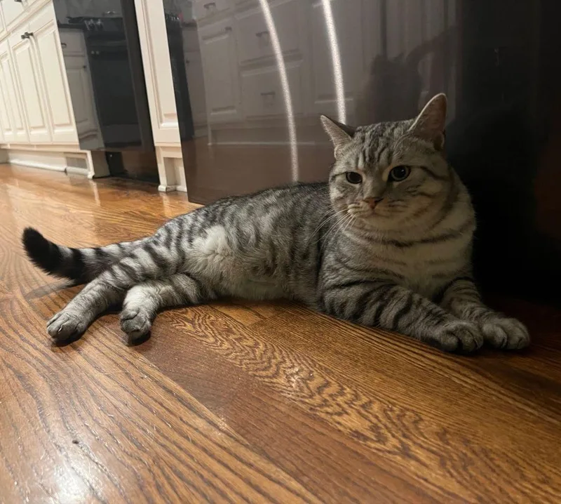 Sebastian thumbnail 5