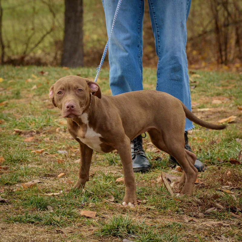 Paulette thumbnail 2