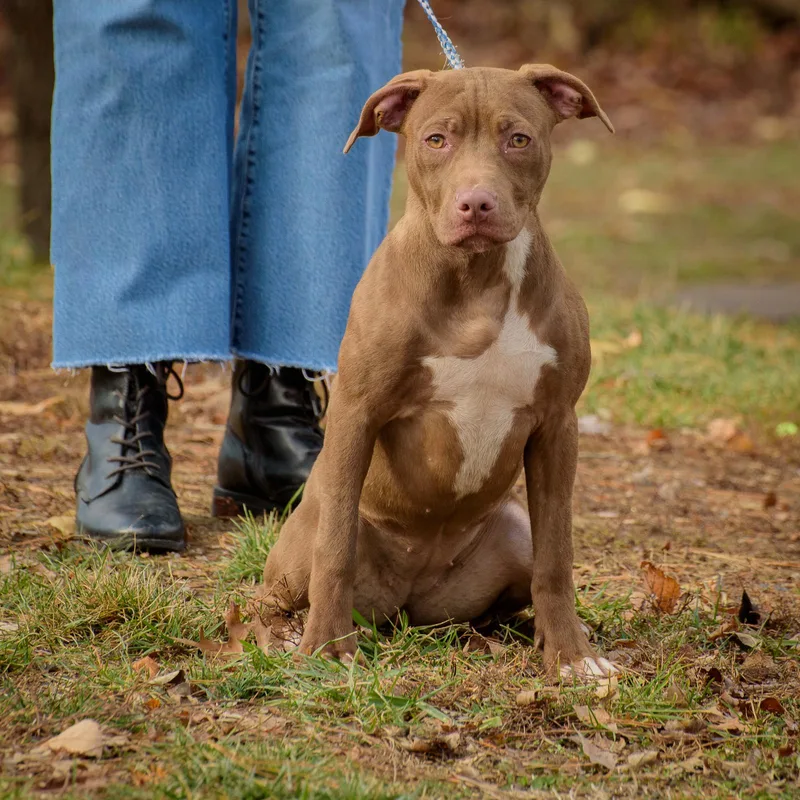 Paulette thumbnail 3