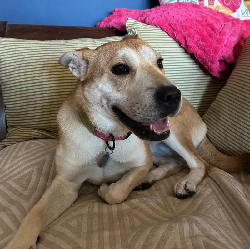 Lola   Pounds! thumbnail 3