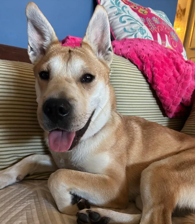 Lola   Pounds! thumbnail 4