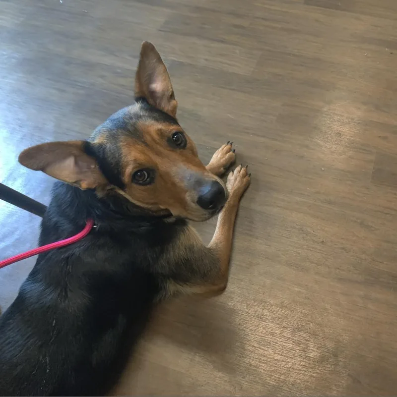 Persephone thumbnail 2