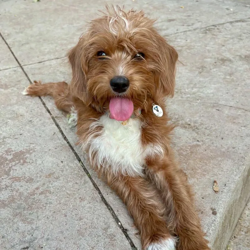 Skye