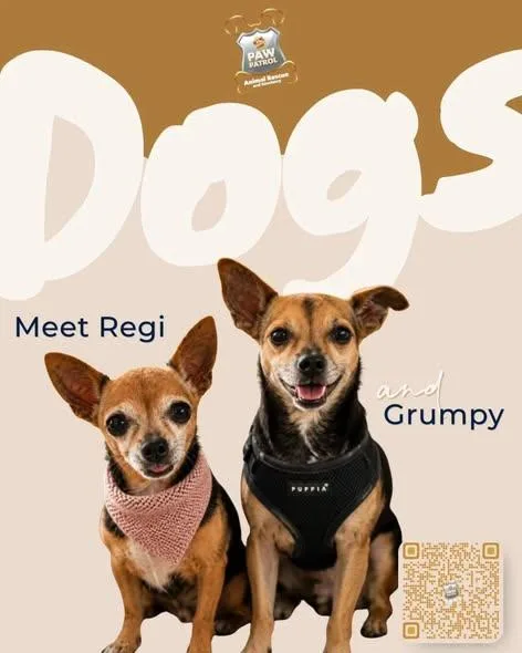Grumpy & Regi