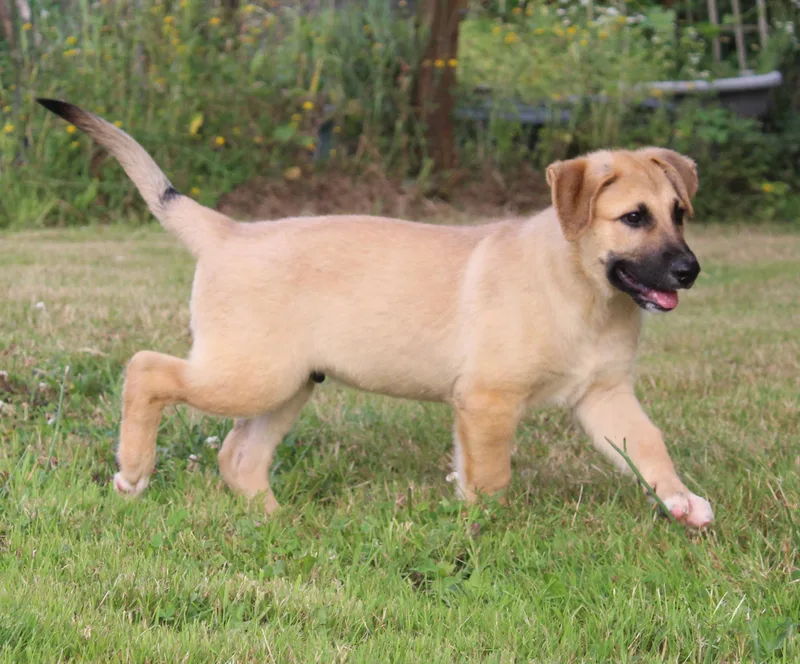 Oakland thumbnail 4