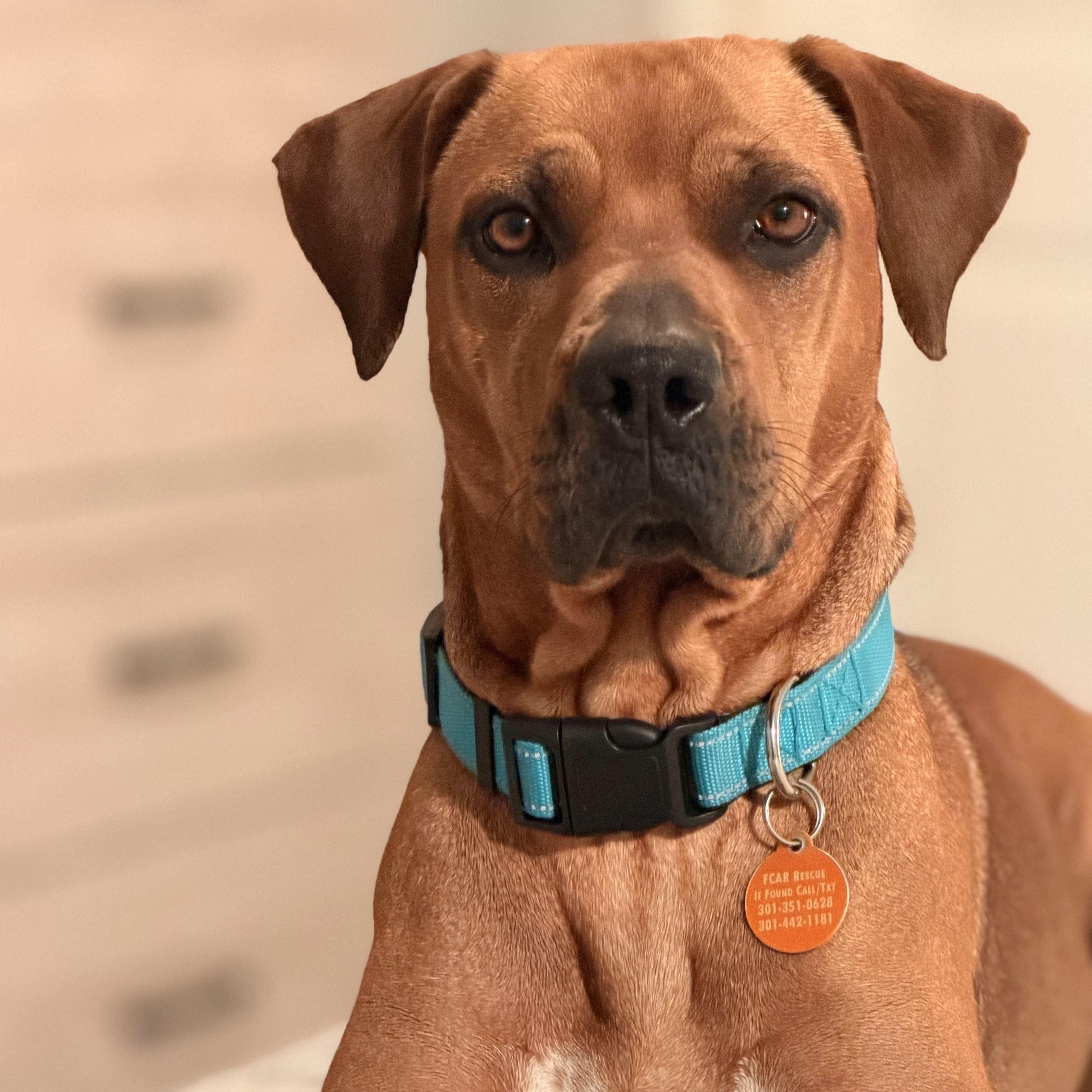 Sadie thumbnail 4