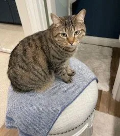 Stargazer thumbnail 3