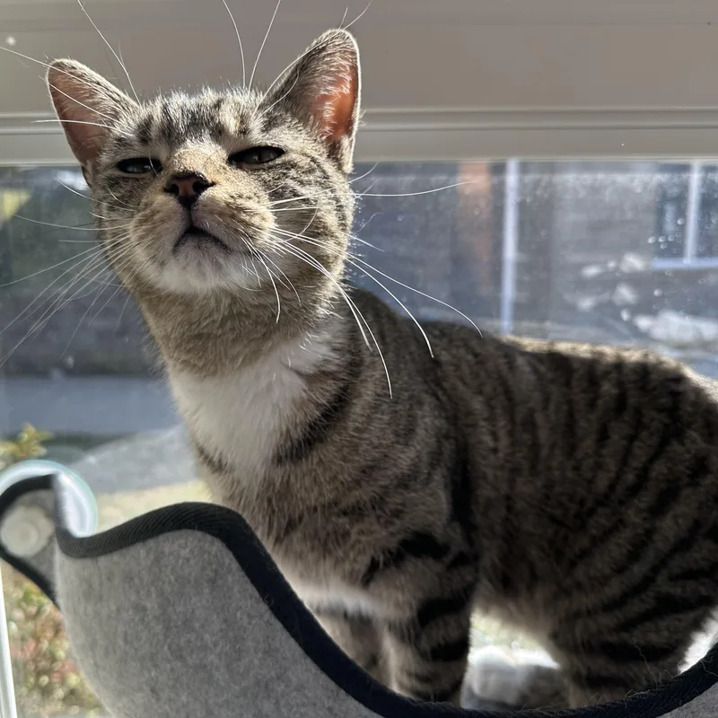 Cleopatra thumbnail 2