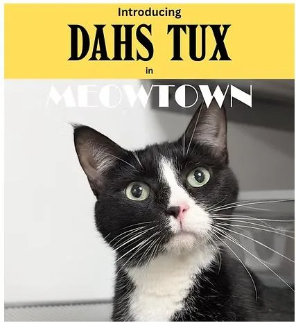 Dahs Tux thumbnail 2