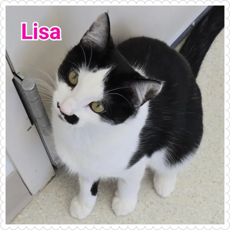 Lisa thumbnail 3