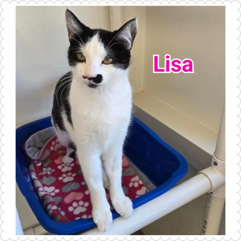 Lisa thumbnail 4
