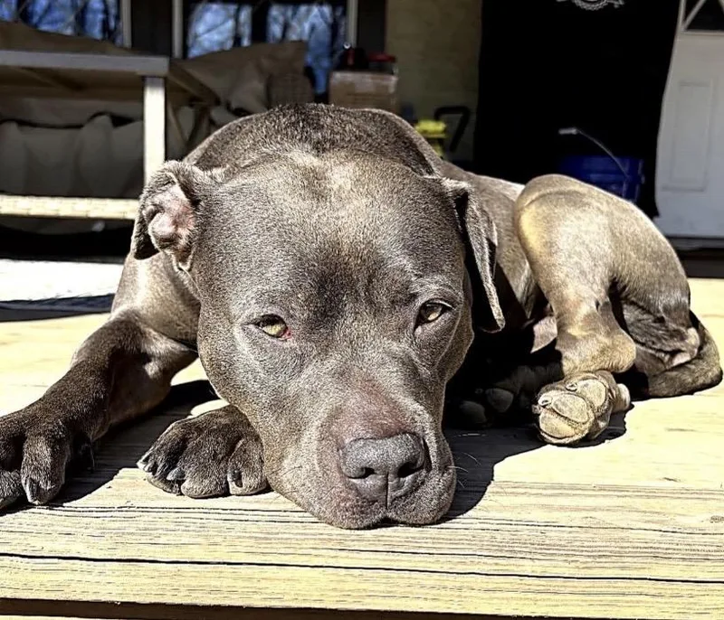 Baby Girl thumbnail 2