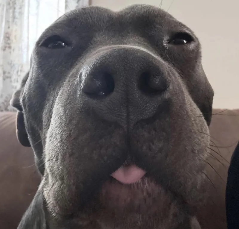 Baby Girl thumbnail 3