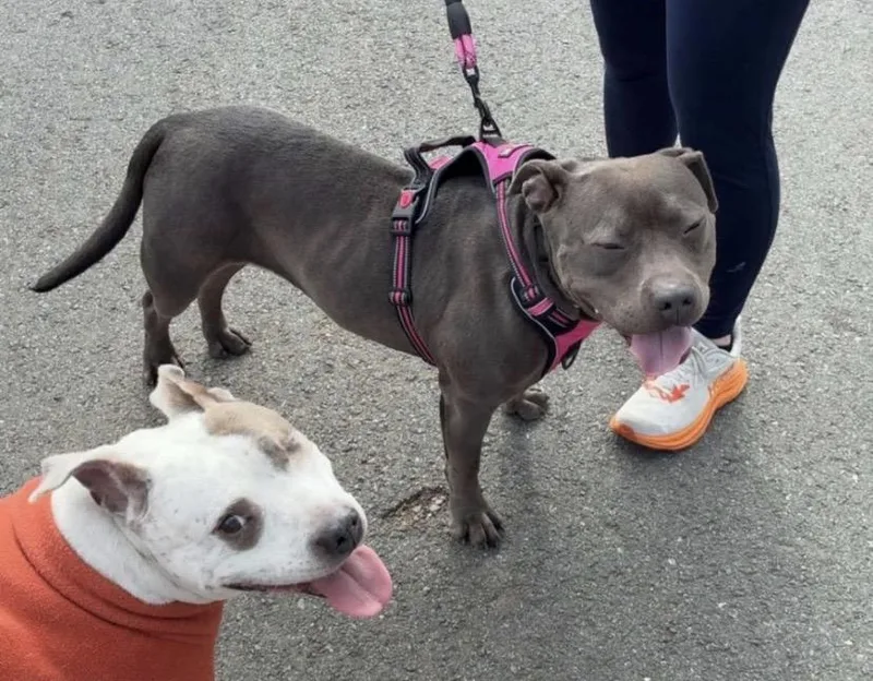 Baby Girl thumbnail 4