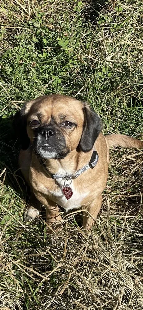 Lucy