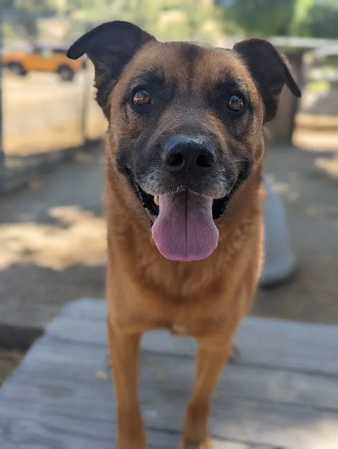 Rusty Boy thumbnail 2