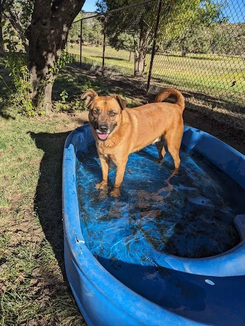 Rusty Boy thumbnail 6